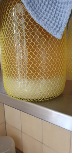 Kunden-Wasserkefir in einem mit gelbem Netz bedeckten Glas auf einer Theke