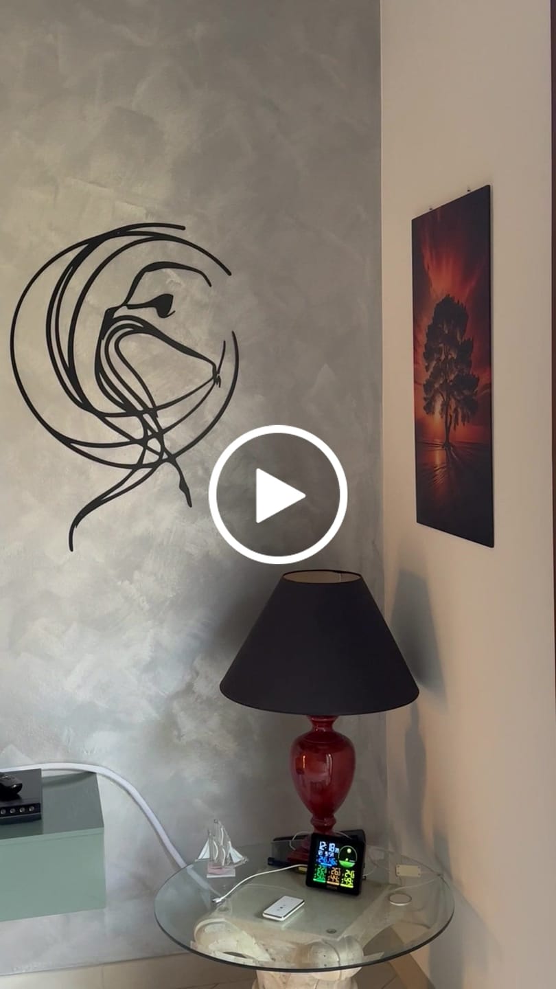 Customer video review of Décoration Murale en Métal - L'Âme de la Danse