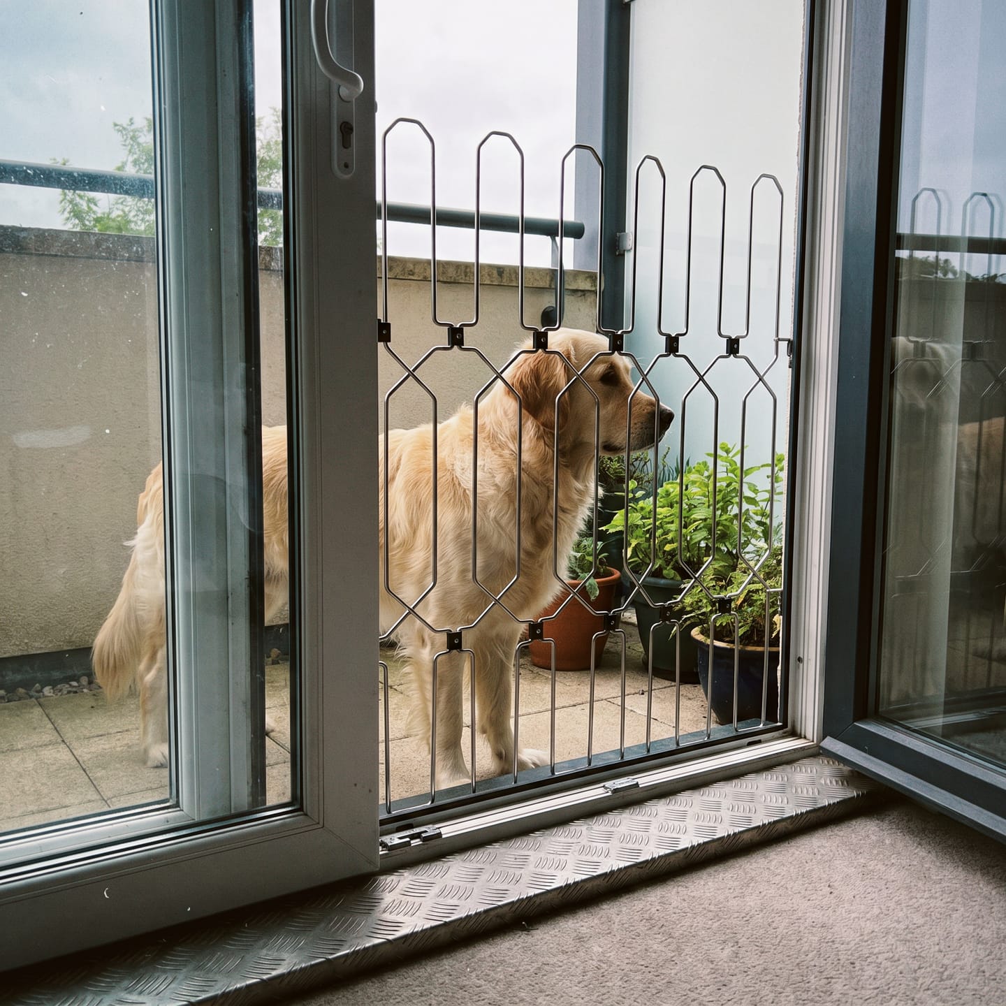 Customer photo review of Dog Guard ExpandGate
