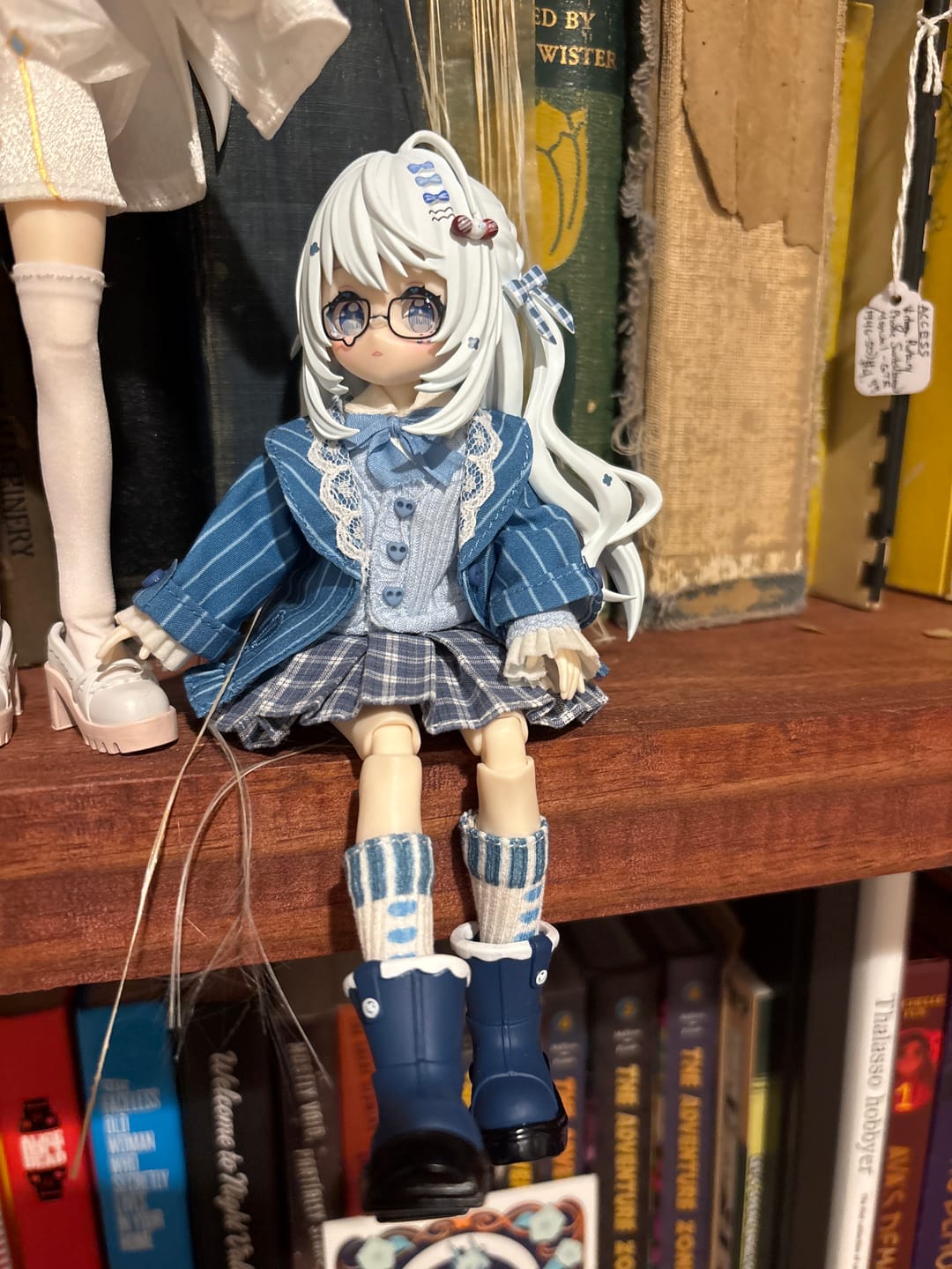 Customer photo review of Twinkle Polaris Series 1/8 Action Figure BJD Blind Box【Shipped in May./Jun. 2026】