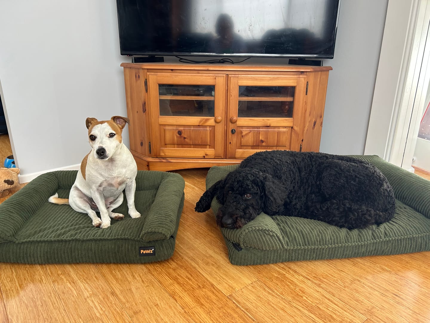 Customer photo review of Pet Bed Non Slip Dog Mat Orthopedic Sofa  Cushion Washable Removable