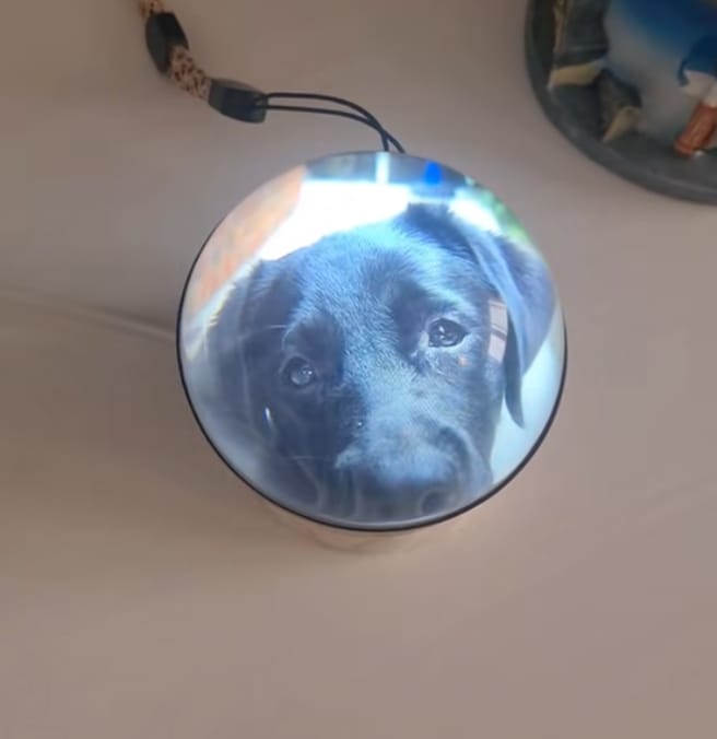 Customer photo review of Merry Ball™
