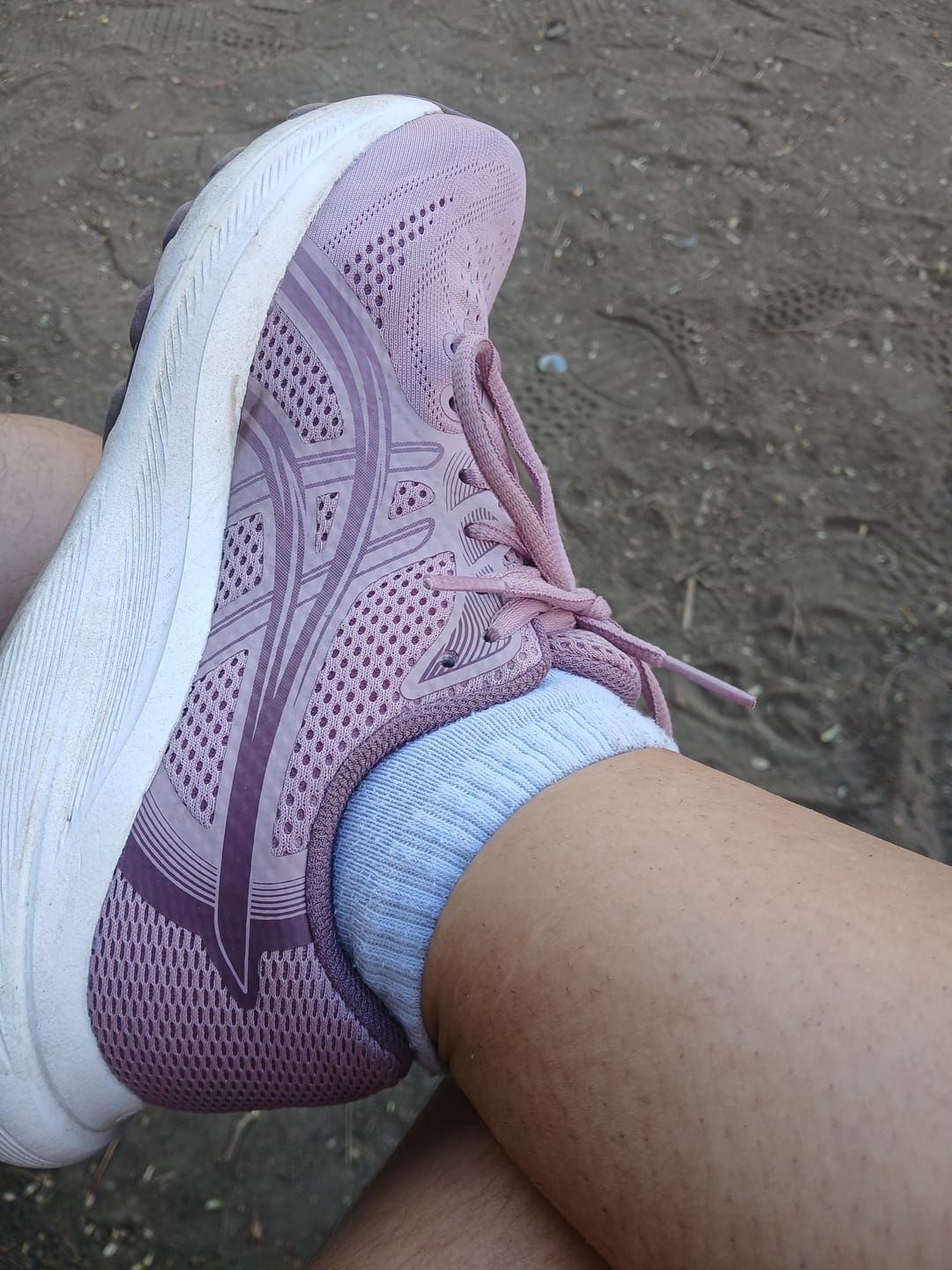 Customer photo review of Asics Gel Contend 10 Mujer Taro Purple Dusty Mauve