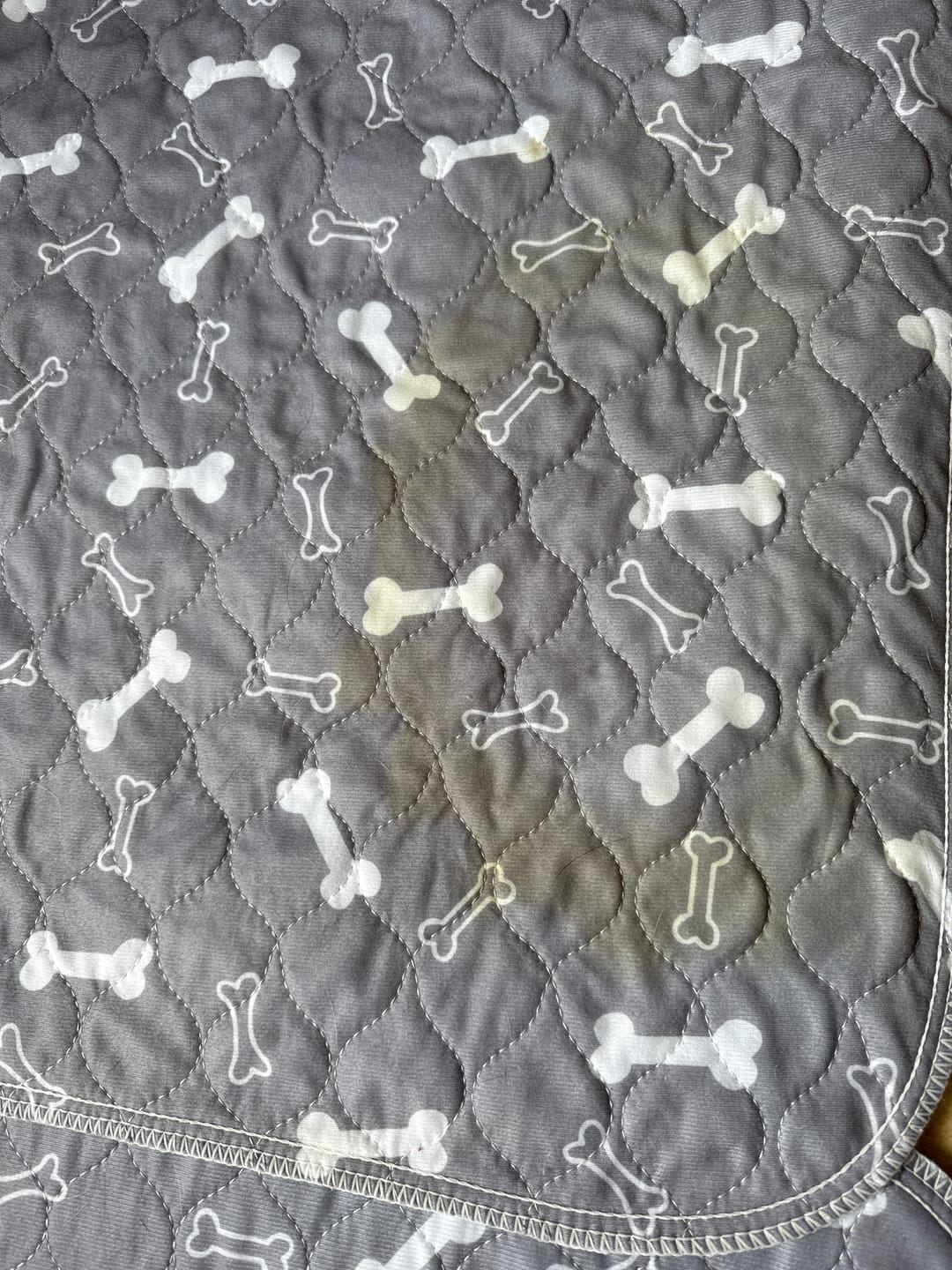 Customer photo review of BuddyPup™ Tapete Absorbente Lavable con Feromonas