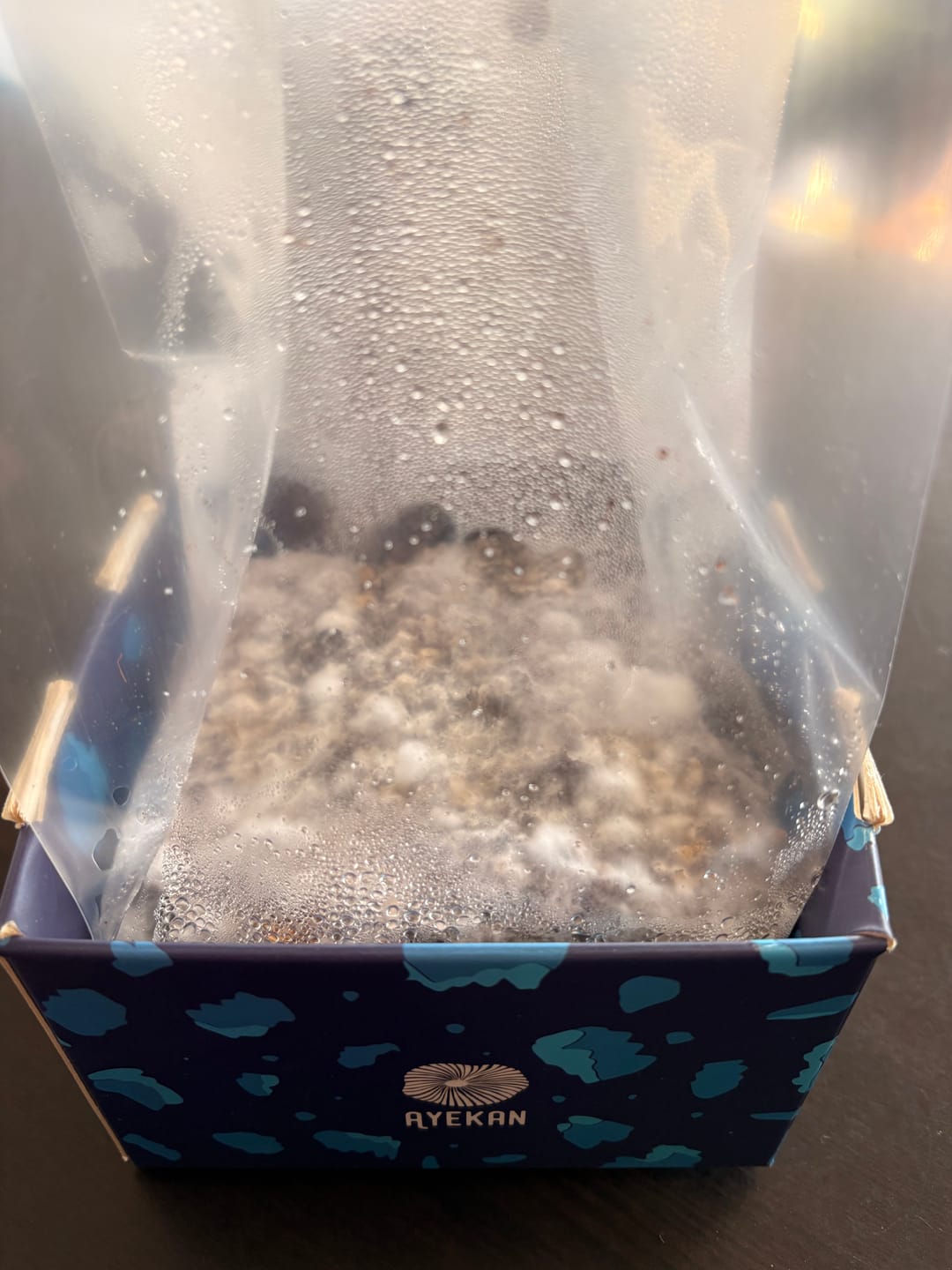 Customer photo review of Ayekan Box