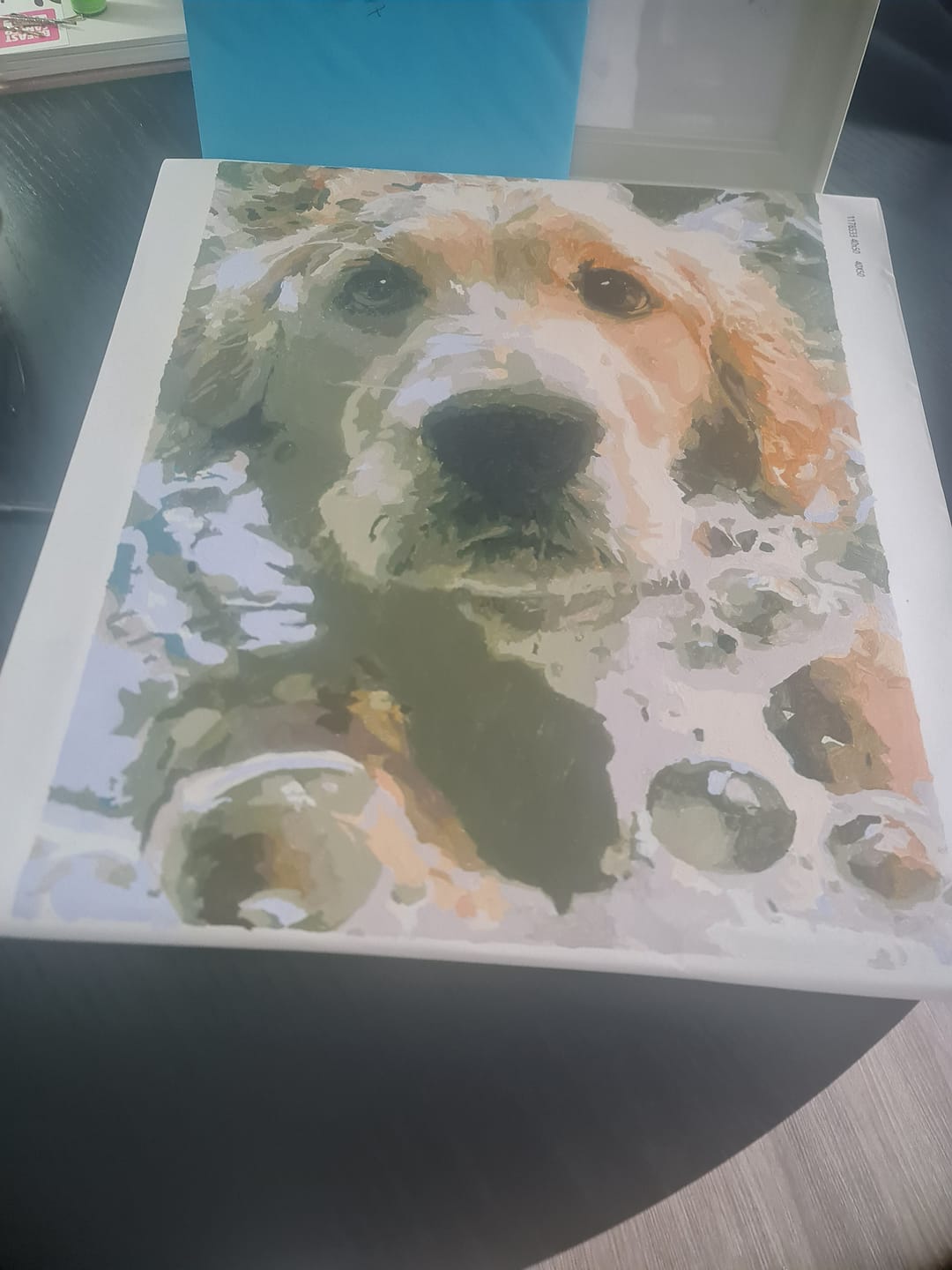 Customer photo review of Citrus by the Sea | Paint by Number