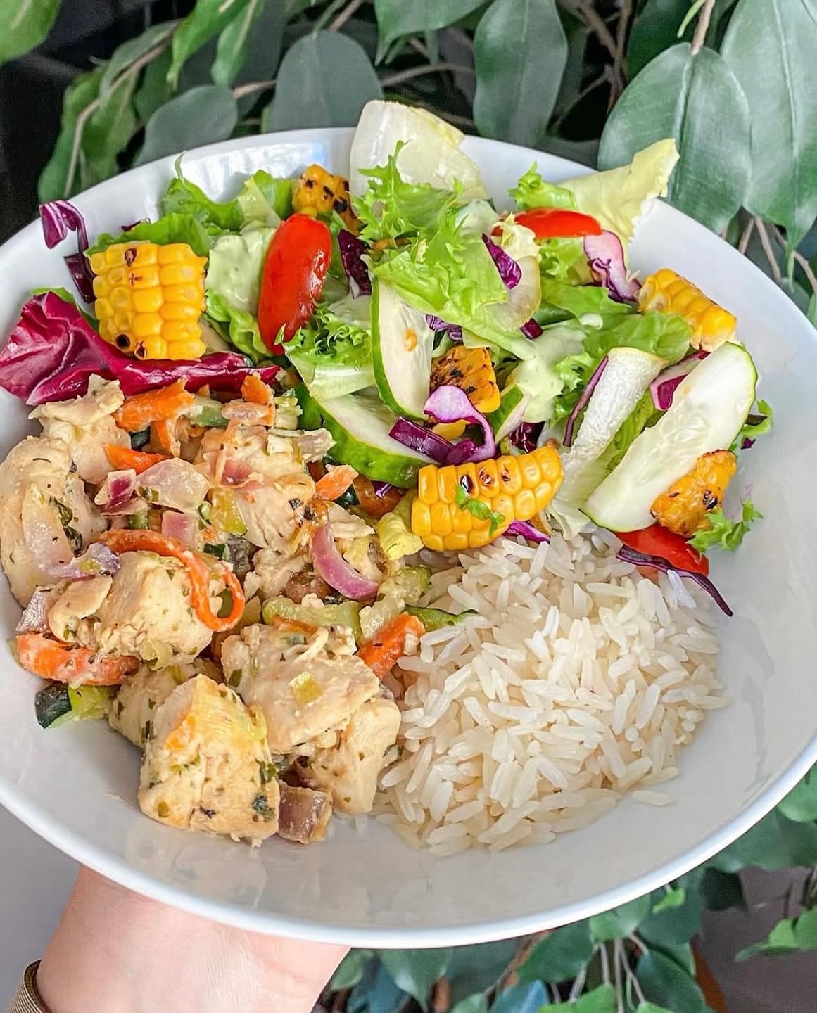 Customer photo review of Cocina Sin Excesos