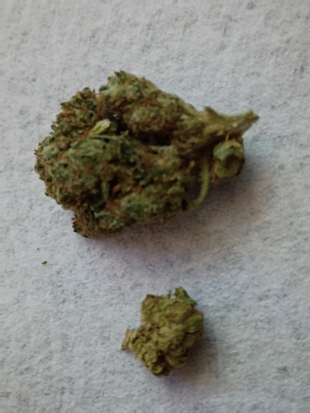 Customer photo review of Jealousy - 28 Grams - Hybrid