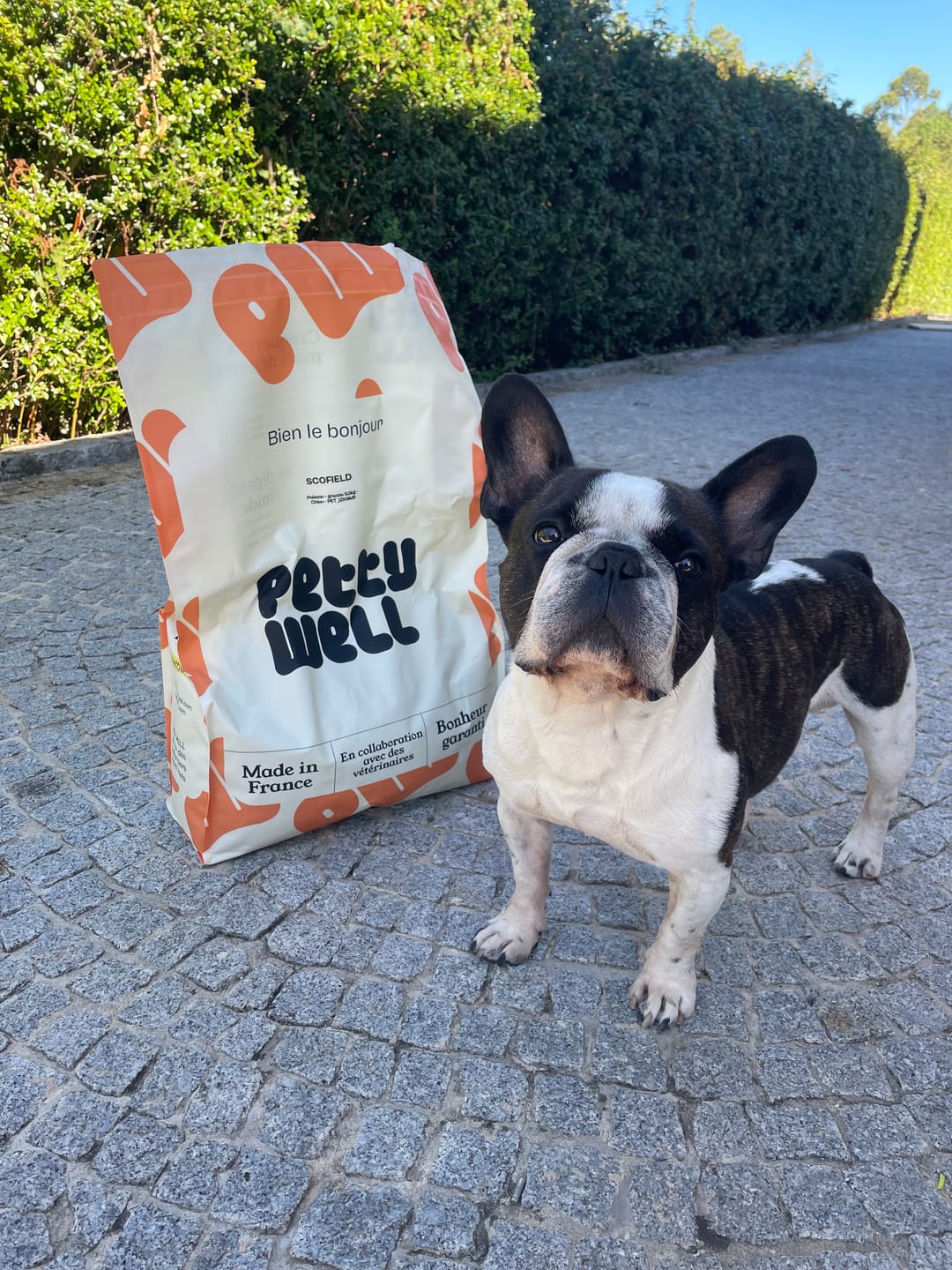 Customer photo review of Croquettes Saumon pour chien (grande) - 1. 28 Mig