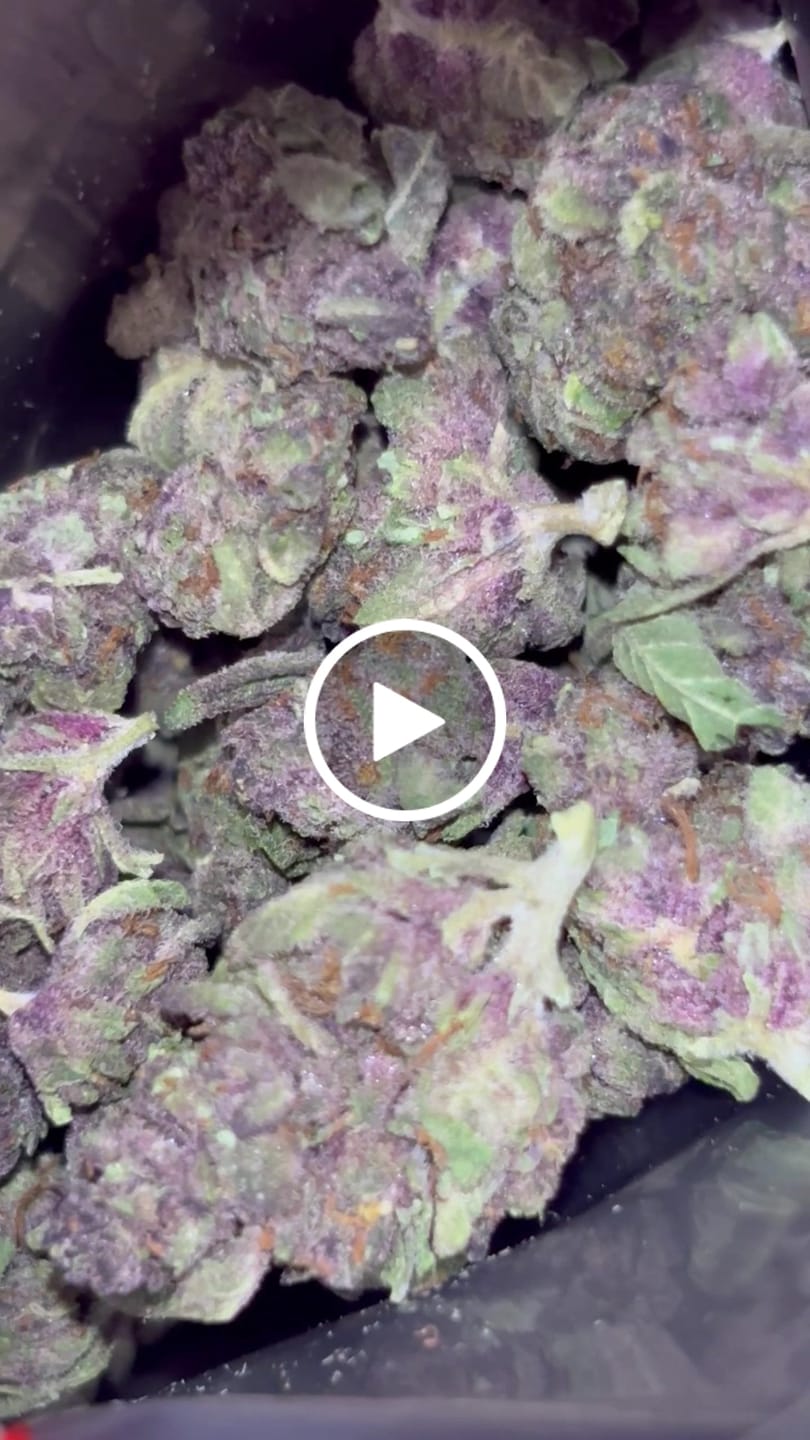 Customer video review of Tropicana Cherry THCA Smalls