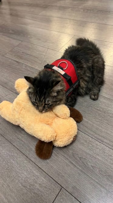 Customer photo review of Peluche Calmante para Mascotas