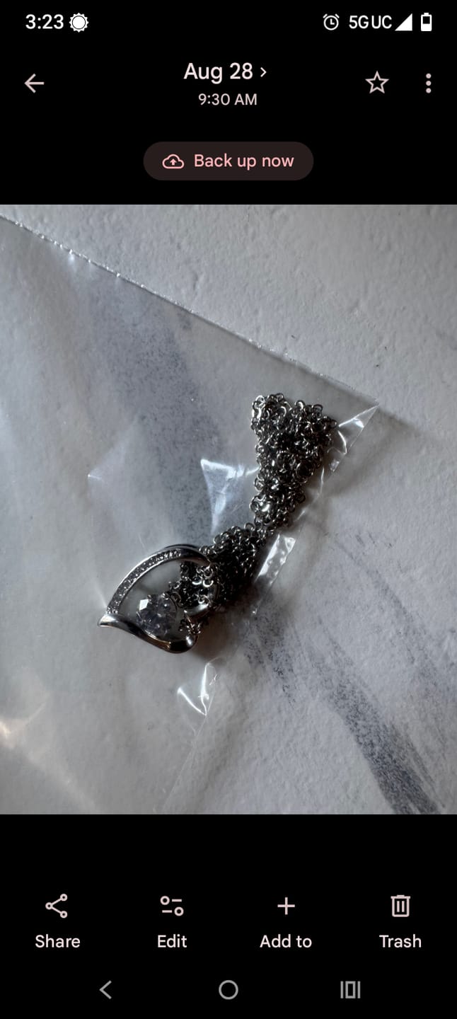 Customer photo review of Future Wife Gift,"Best Thing That Ever Happened To me" Heart Necklace
