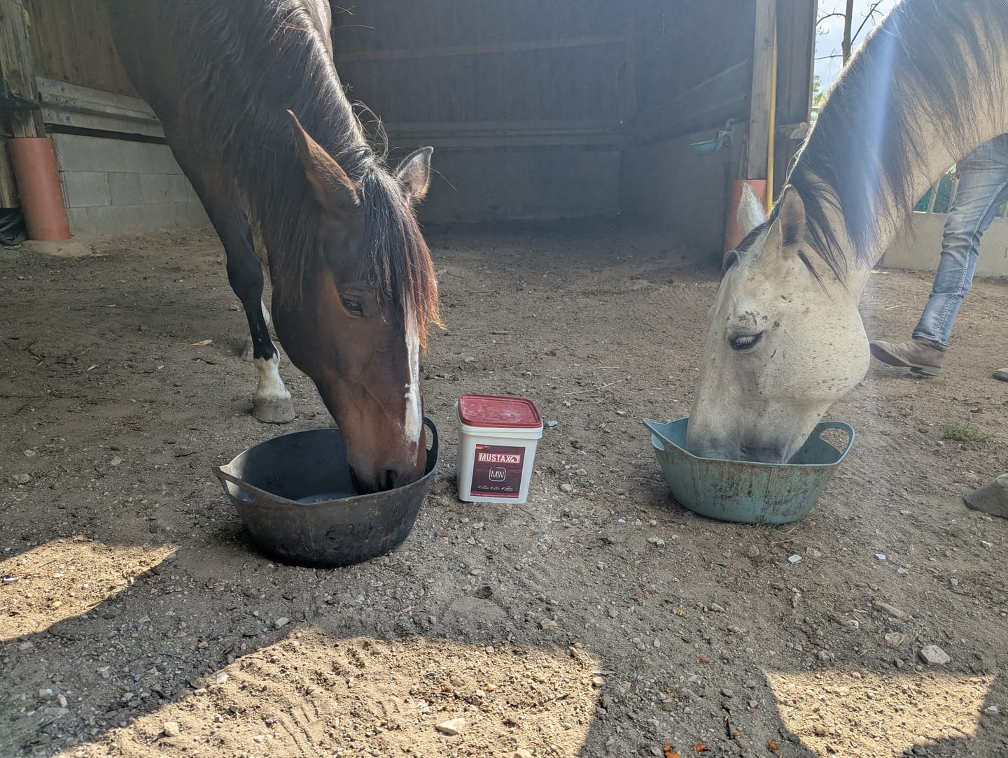 Customer photo review of MUSTAX Mineral