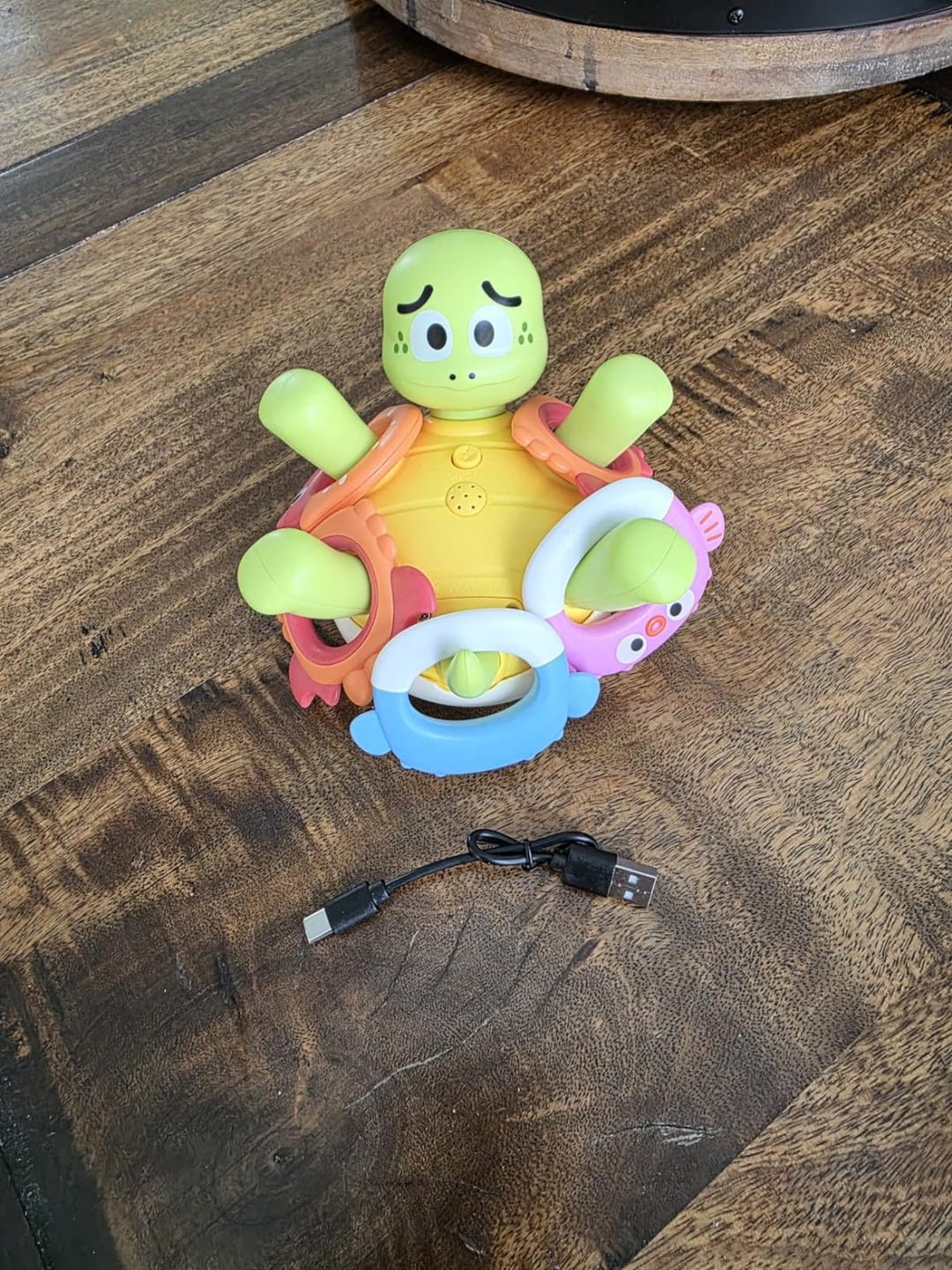 Customer photo review of Schildkröte Ringwurf Fontäne Badespielzeug | Wasserspielzeug Kleinkind Outdoor Sommer