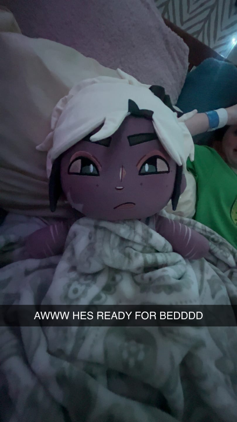 Customer photo review of Original Character (OC) Design Plush
