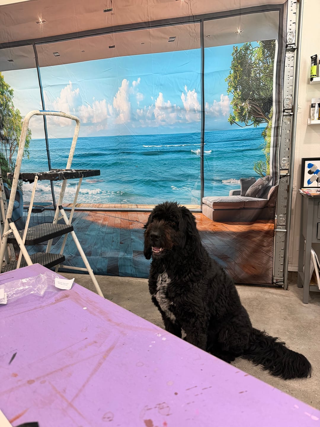 Customer photo review of Ocean Serenity View – Interior Garage Door Cover