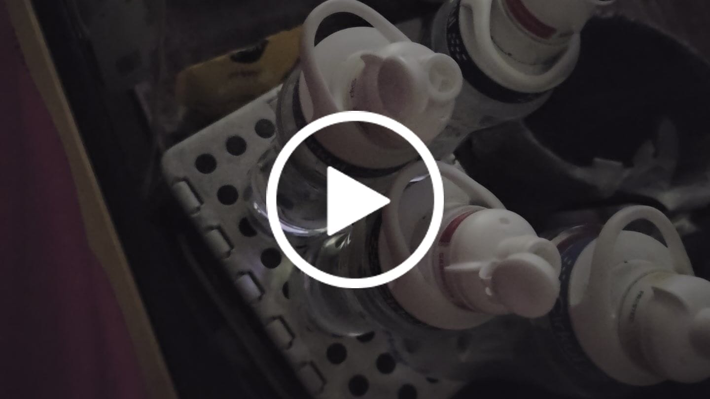 Customer video review of Sabrocita Hibiscus