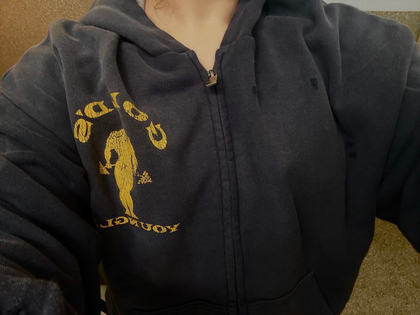 Customer photo review of 5226 - Gold's Iron Legacy Layered Zip-Ups