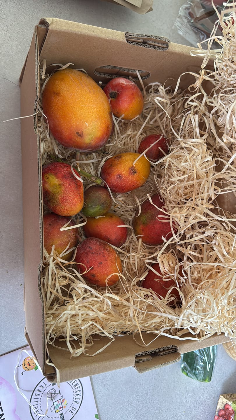 Customer photo review of Baby-Mango Irwin Bio von Julian