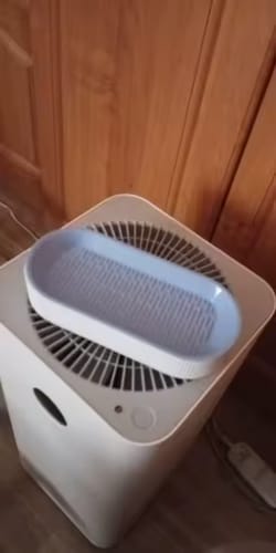 Customer photo review of Germinador de Pasto para Gato