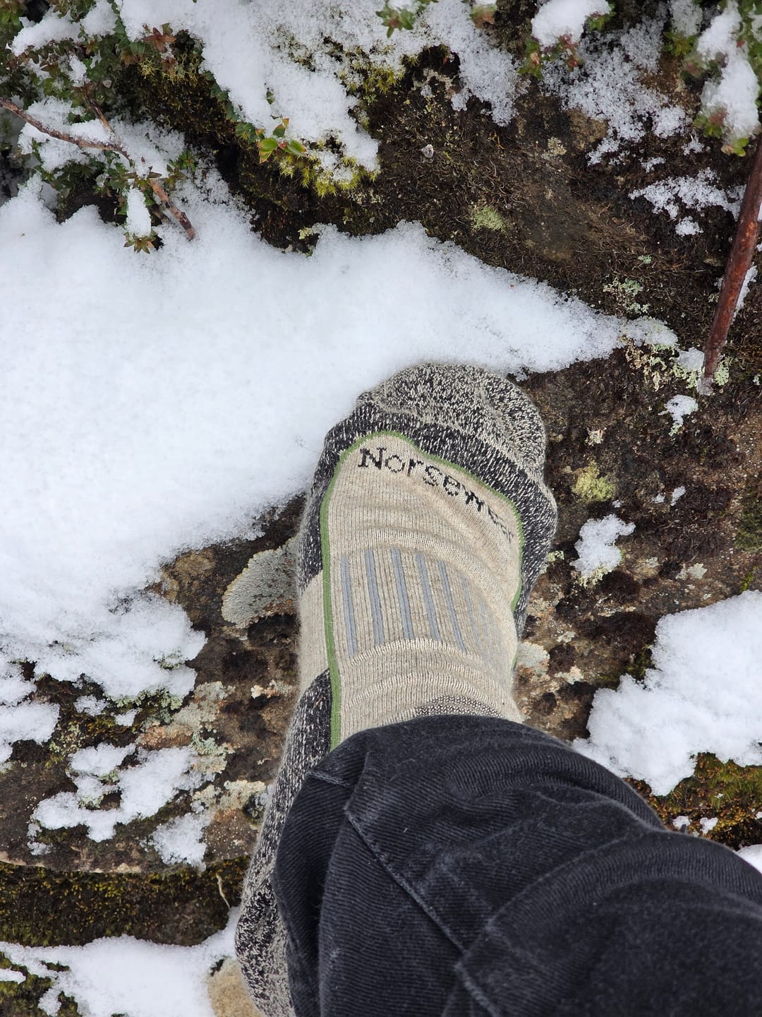 Customer photo review of Norsewear - Possum Hiker Socks