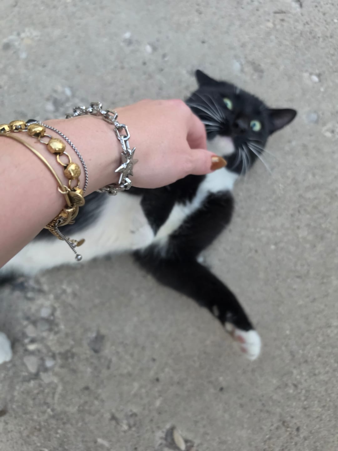 Customer photo review of ASTROLOGY BRACELET