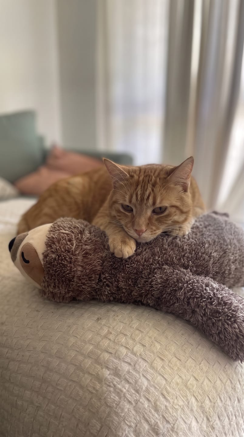 Customer photo review of Peluche Calmante para Mascotas