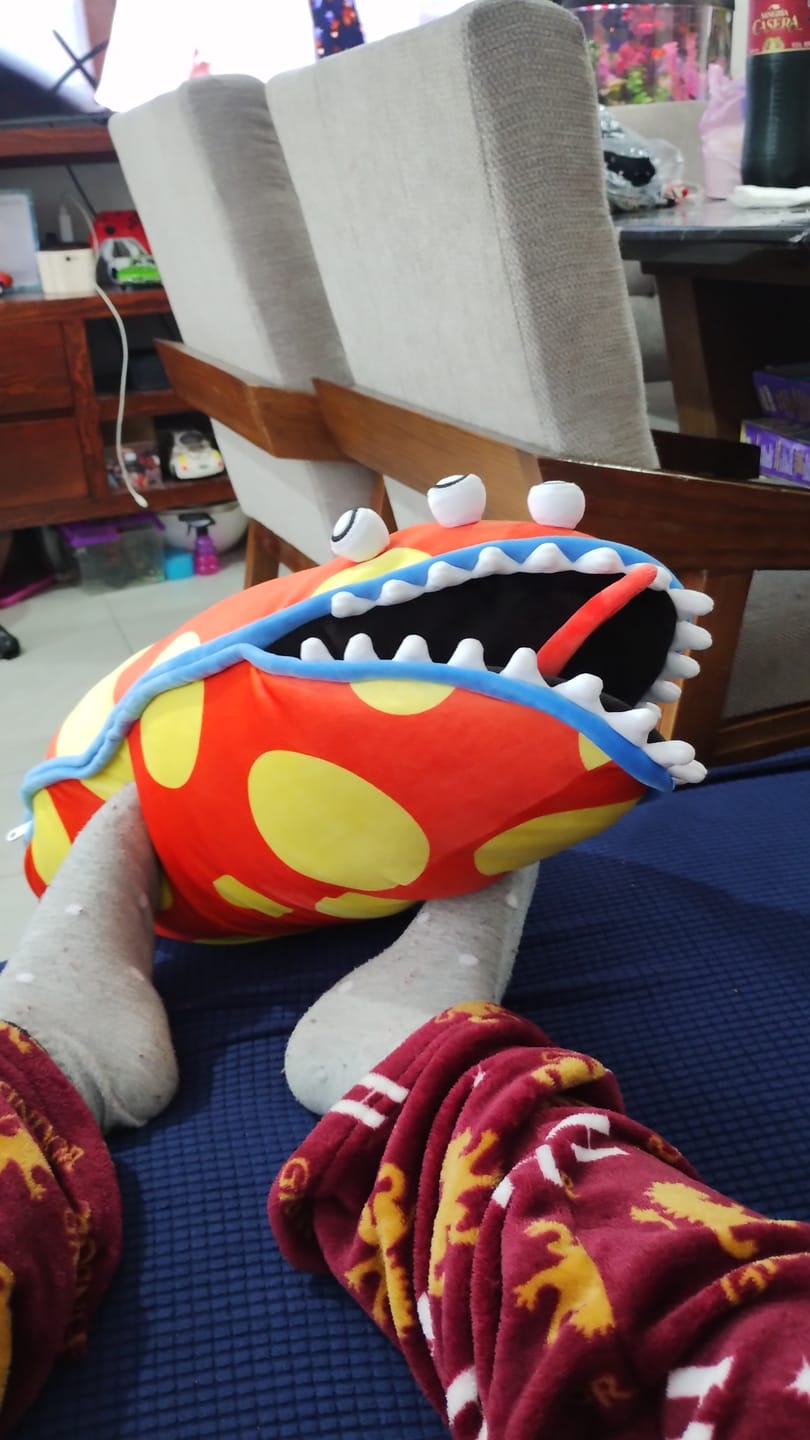 Customer photo review of Gloink Queen Plush