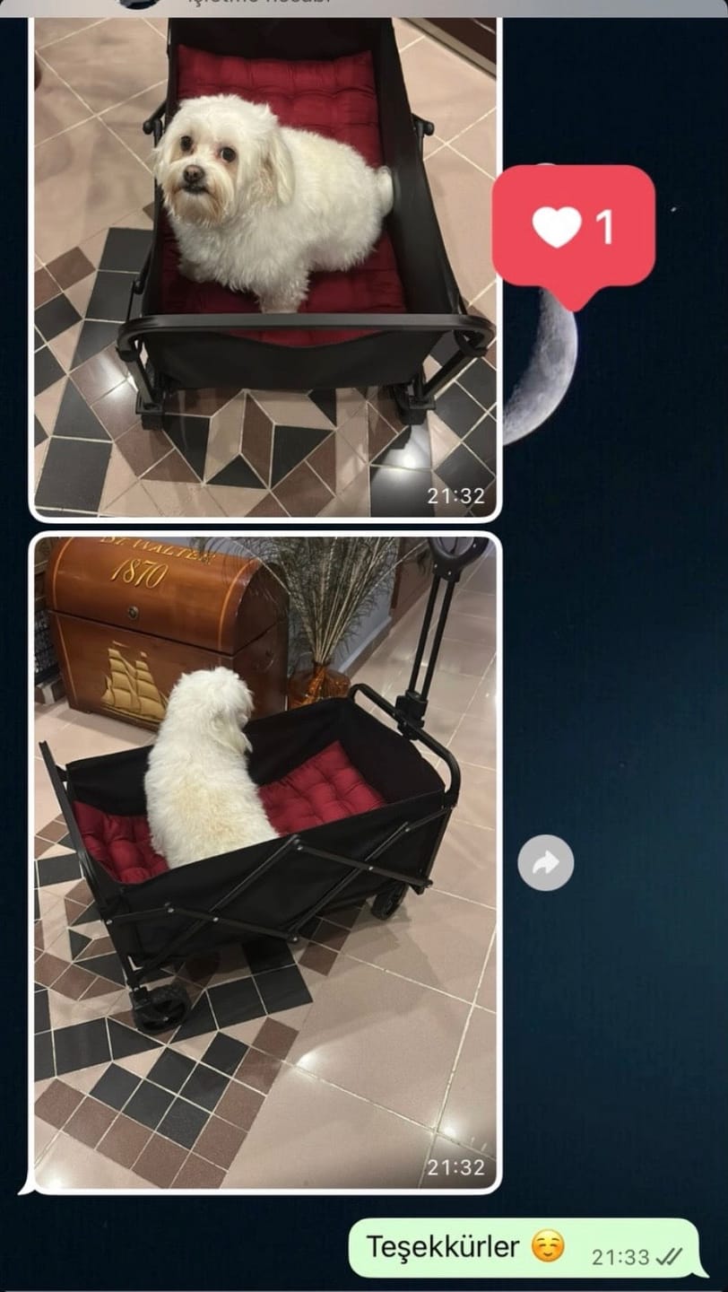 Customer photo review of Çek Götür | Katlanabilir Taşıma Arabası