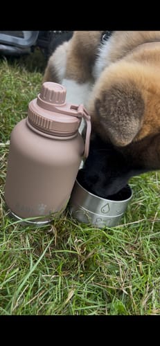 Customer photo review of The Bottle Buddy Bag