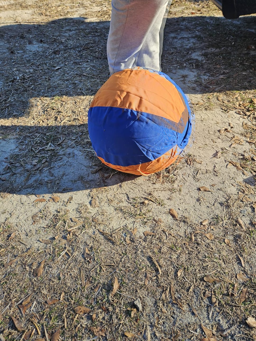 Customer photo review of Seravi Herding Ball