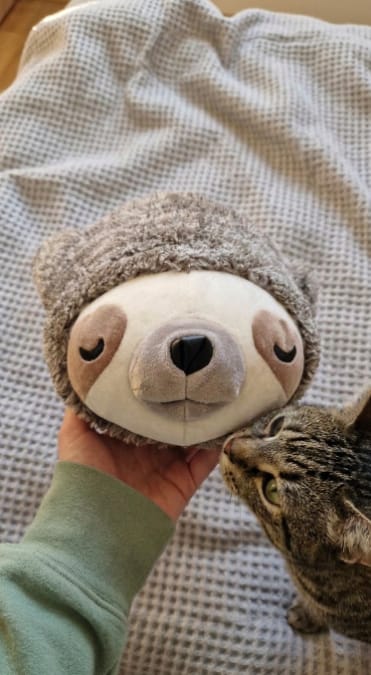 Customer photo review of Peluche Calmante para Mascotas