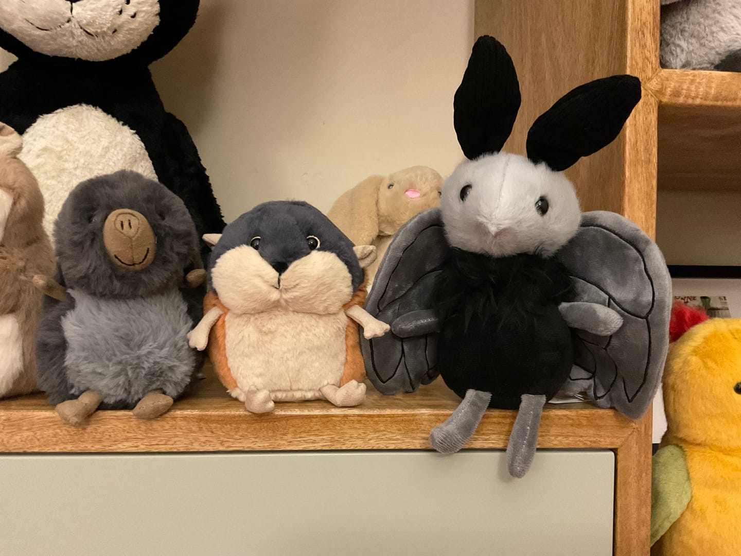 Customer photo review of Miff Mothman