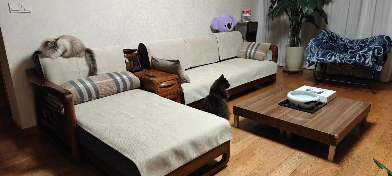 Customer photo review of ChenilleGuard™ Waterproof Anti-Scratch Sofa Cover