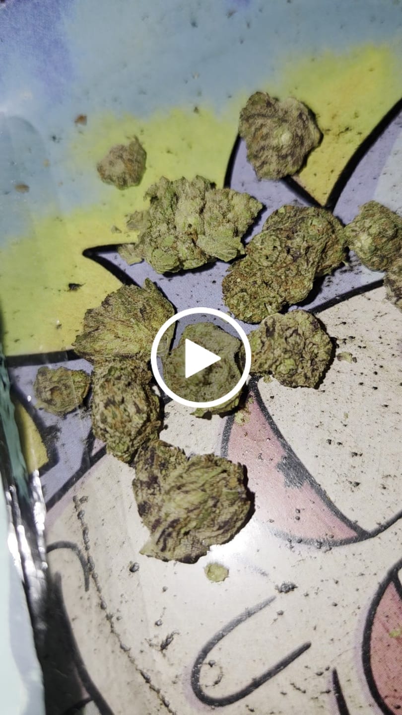 Customer video review of Blueberry Pancake (Indoor Smalls) - THCA Flower