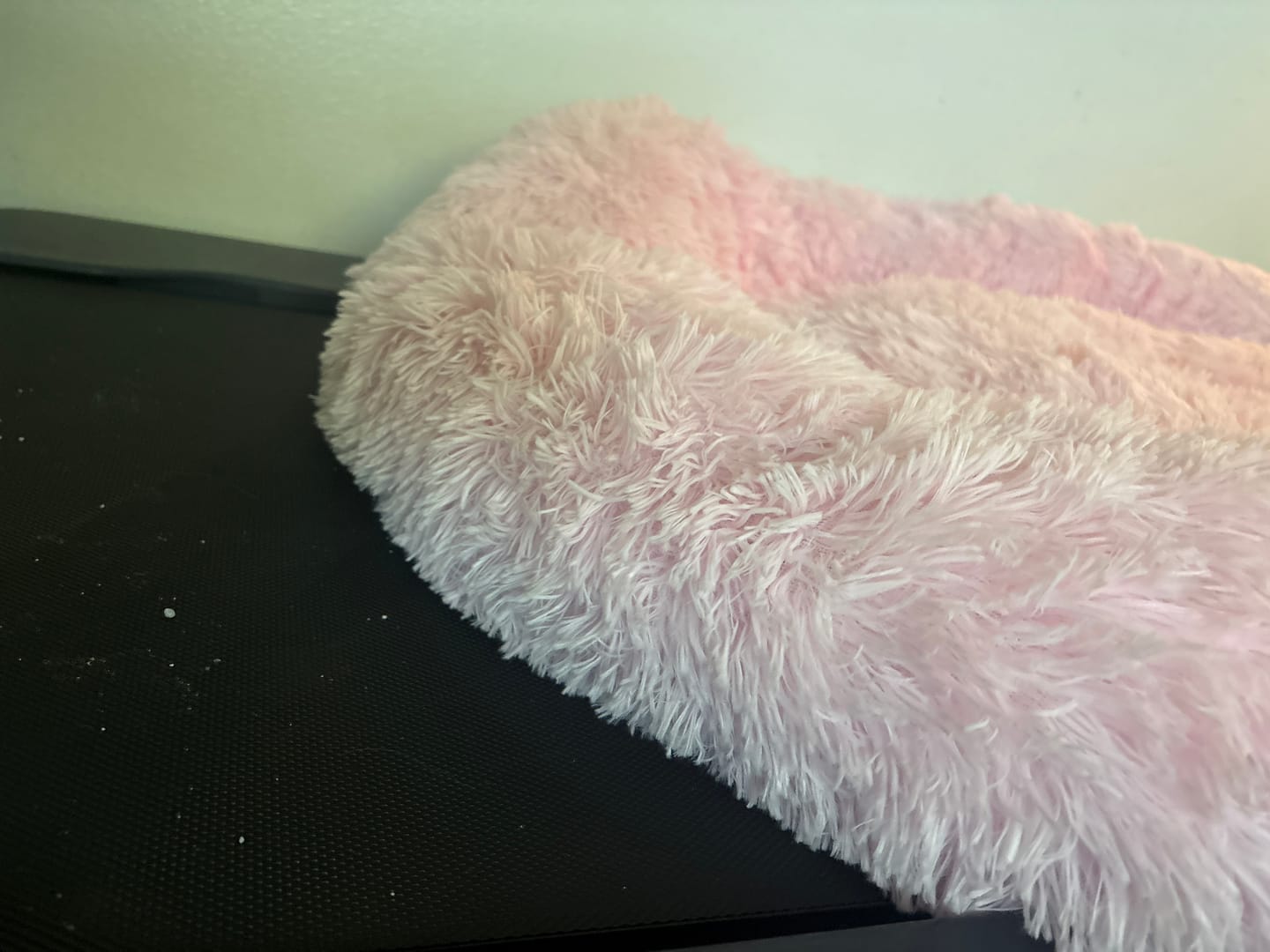 Customer photo review of The Original Fluffy Bean® Pet Bed
