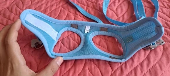 Customer photo review of ARNÉS + CORREA ANTIESCAPE PARA GATOS