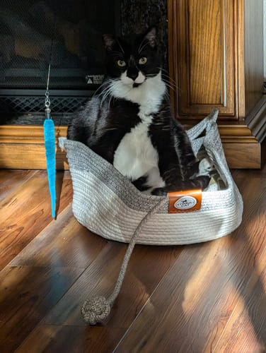 Customer's black and white cat sitting inside an Instinct Basket on a wooden floor near a fireplace.