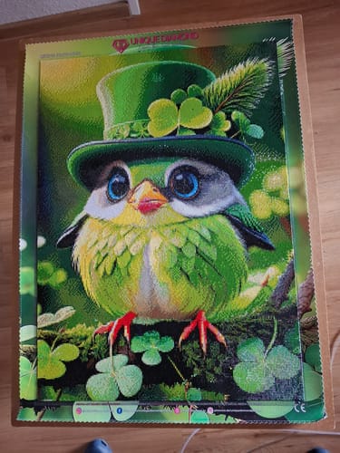 Customer photo review of 5D Diamond Painting – Green Bird