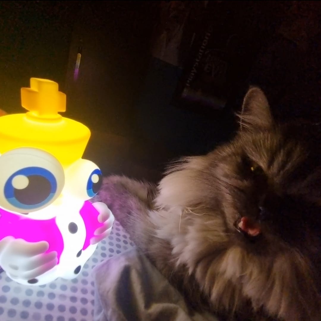 Customer photo review of Kinger Lamp
