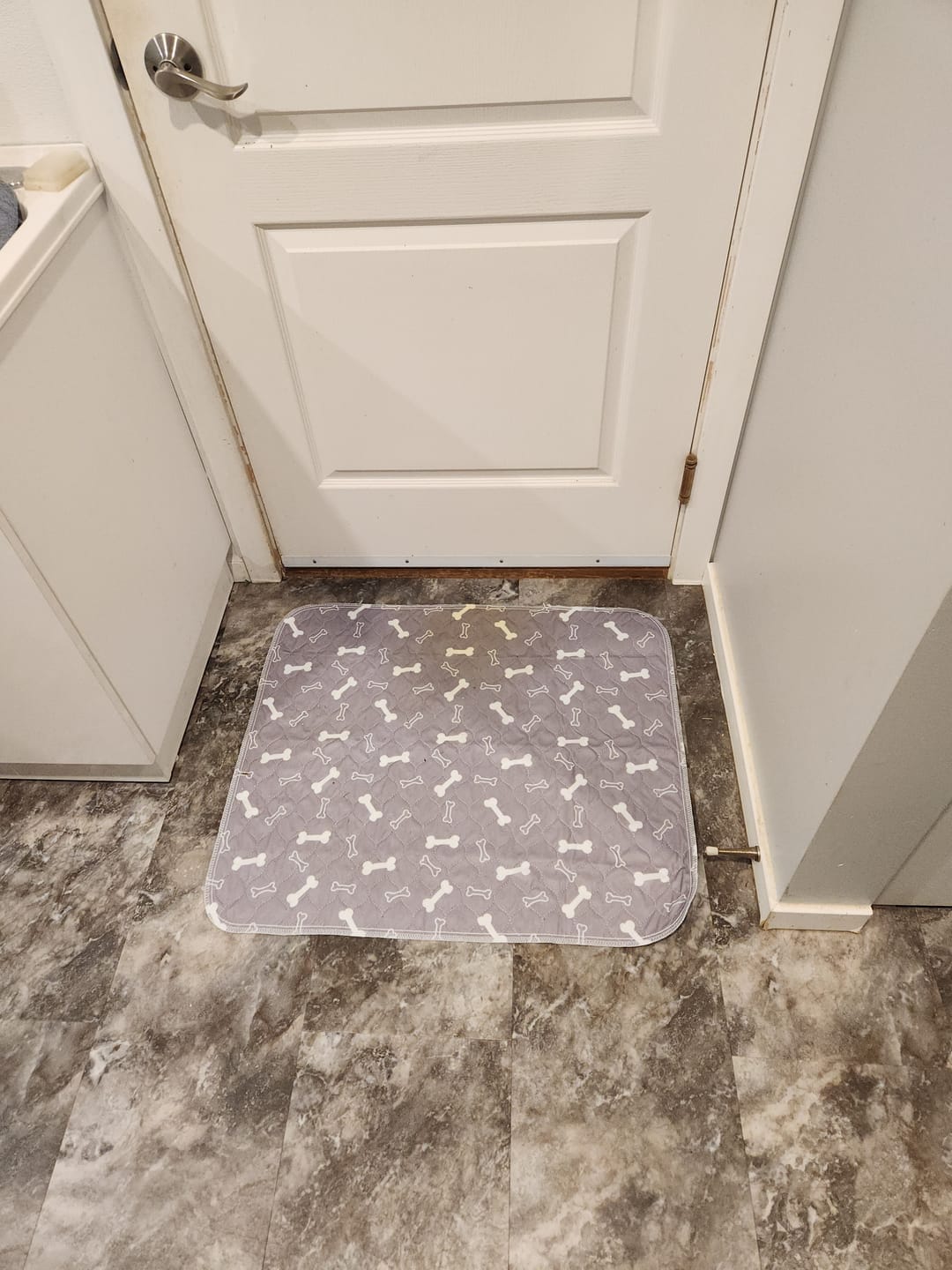 Customer photo review of BuddyPup™ Tapete Absorbente Lavable con Feromonas