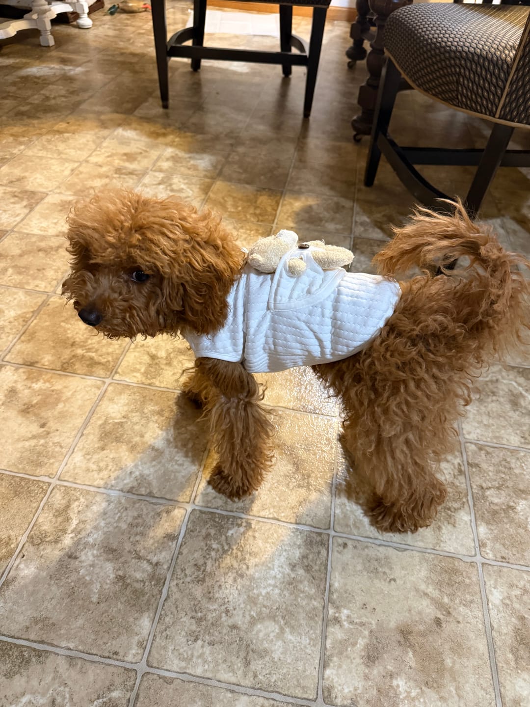 Customer photo review of Limited Time Mystery Gift