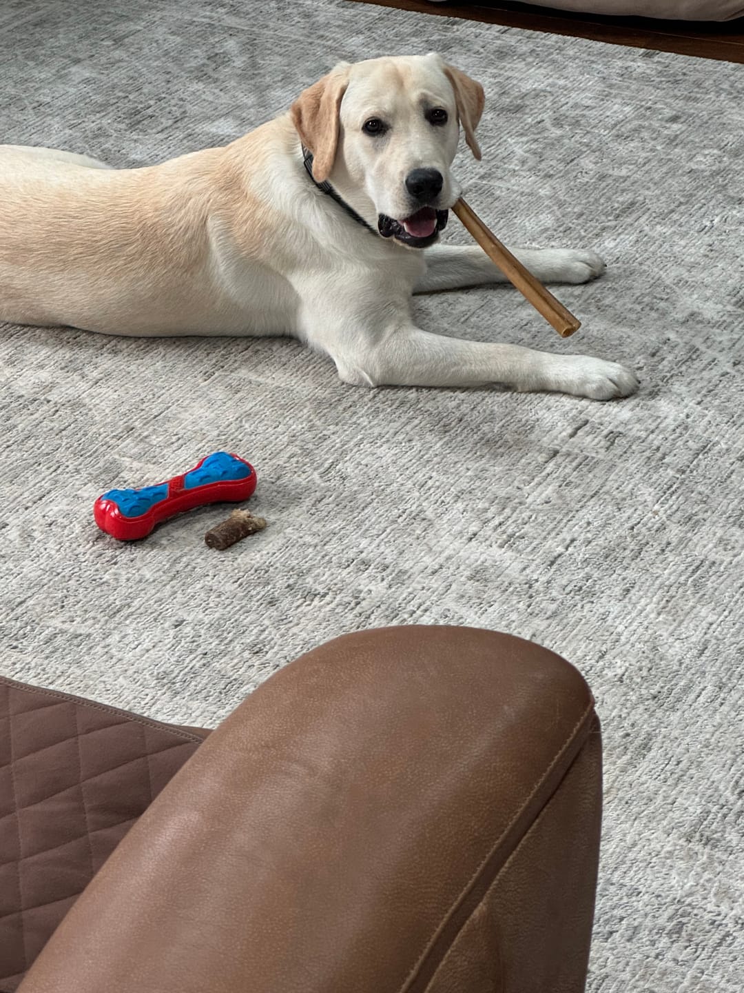 Customer photo review of Super Bull Sticks
