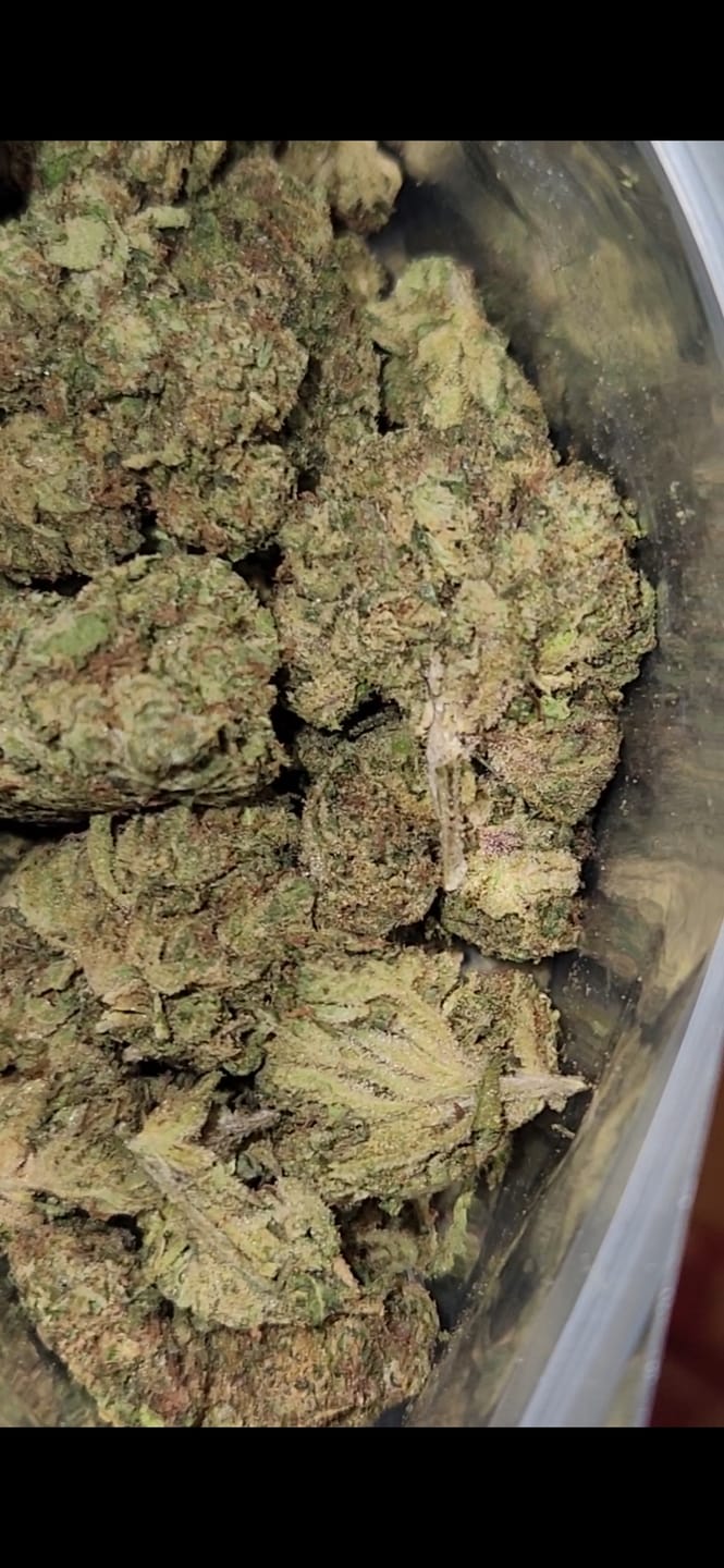 Customer photo review of Champelli THCA Flower