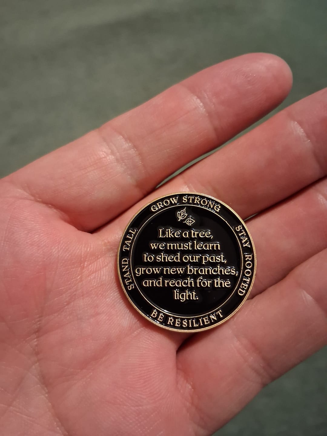 Customer photo review of Tree of Life Affirmation Sobriety Coin Gift Set - Antique Gold
