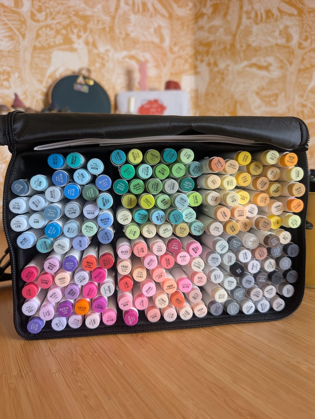 Customer photo review of Ohuhu Honolulu 168 Colors Dual Tips Alcohol Art Markers (New Color Codes)