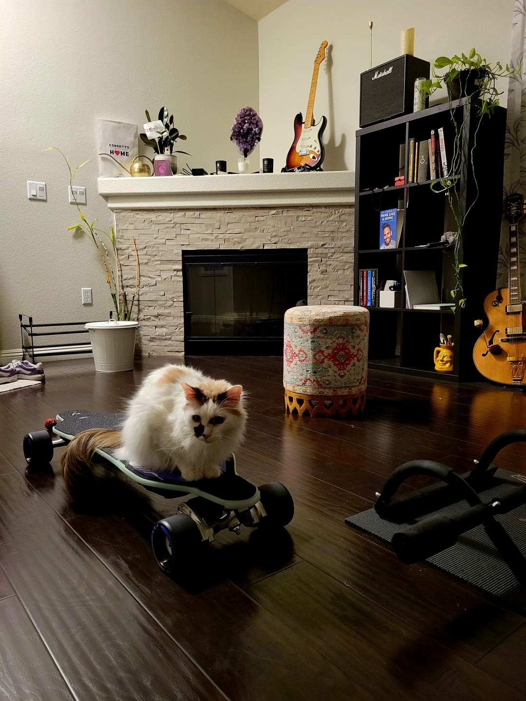 Customer photo review of MEEPO Shipping Protection