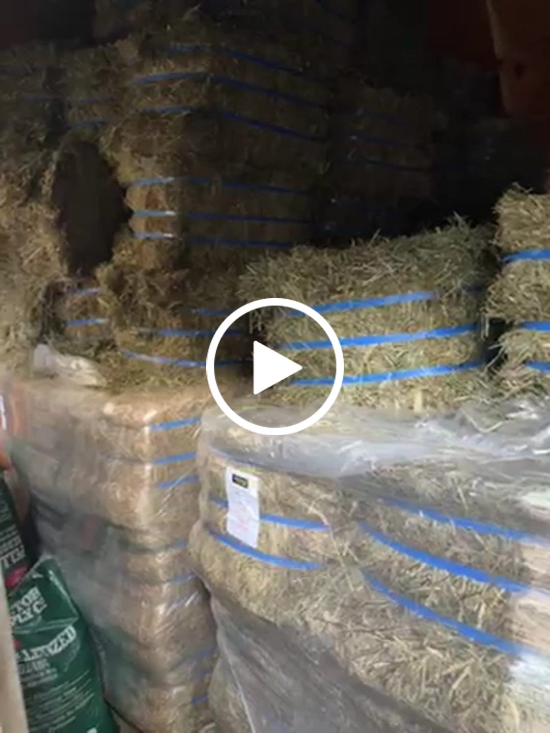 Customer video review of 2nd Cutting (2026 Crop) NY Timothy Orchard Grass Hay (Buy More - Save More)(Includes delivery too!)
