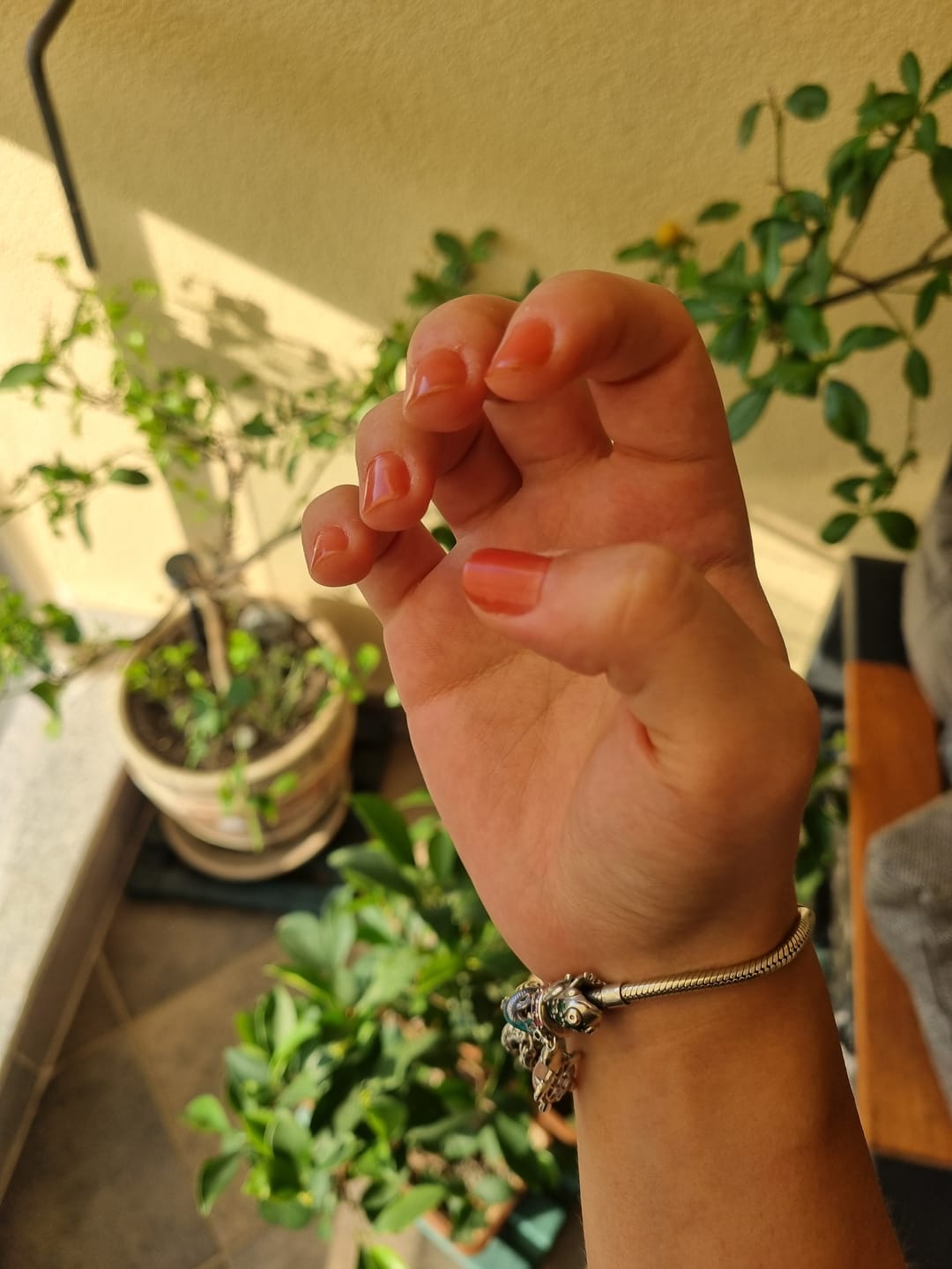 Customer photo review of [Üzüm] Renkli Tırnak Güçlendiricisi