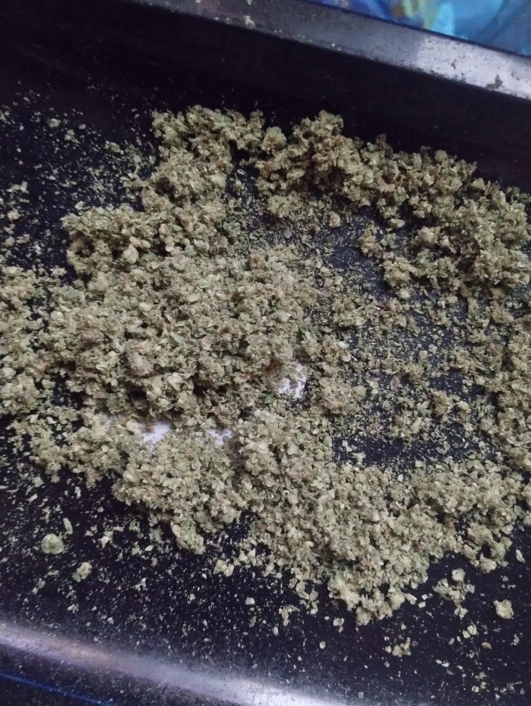 Customer photo review of Blueberry Muffins Littles - Bulk Littles - Indica
